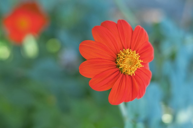 这一带有 这一带有