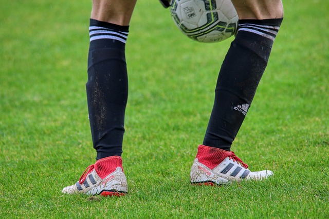 综上所述 综上所述