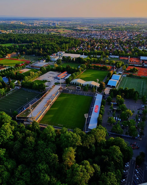 案例分析 案例分析