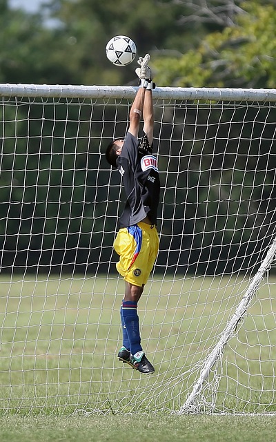 应对不足 应对不足